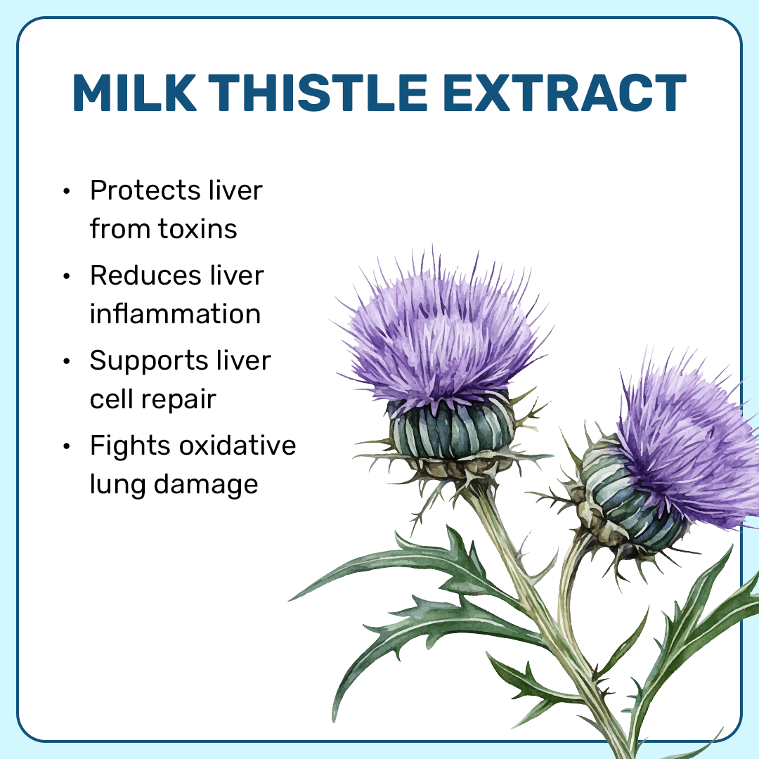 'What's Up' Undeniable Glow Combo