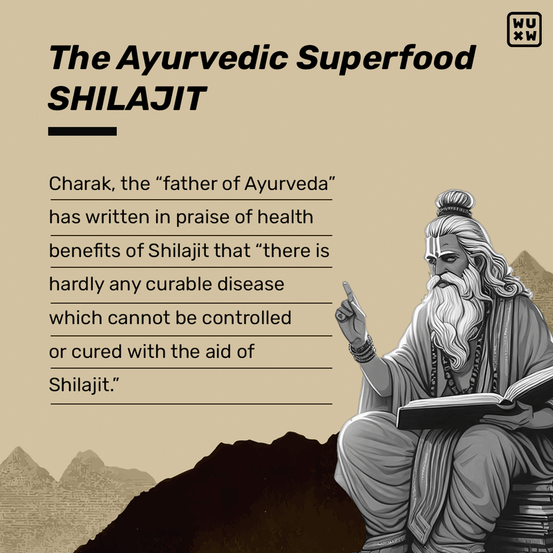 'What's Up' Shilajit Gummies